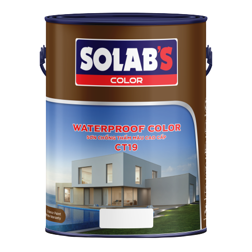 Sơn chống thấm màu cao cấp CT19 5L